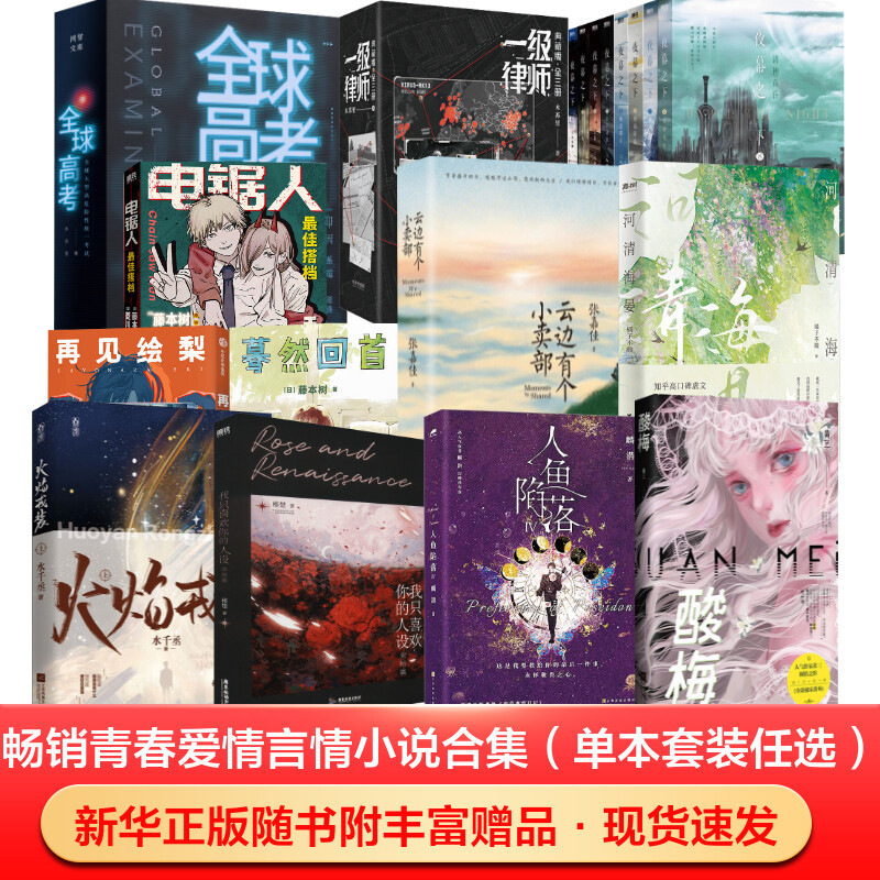 正版全球高考 一级律师 火焰戎装  朝俞 酸梅小说 小说双男主书