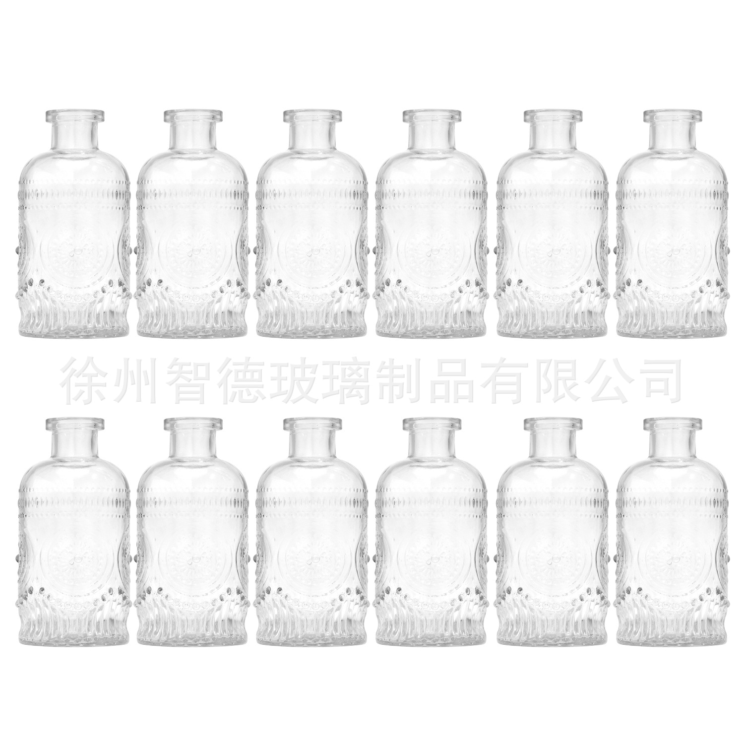 해바라기 투명 12종 세트