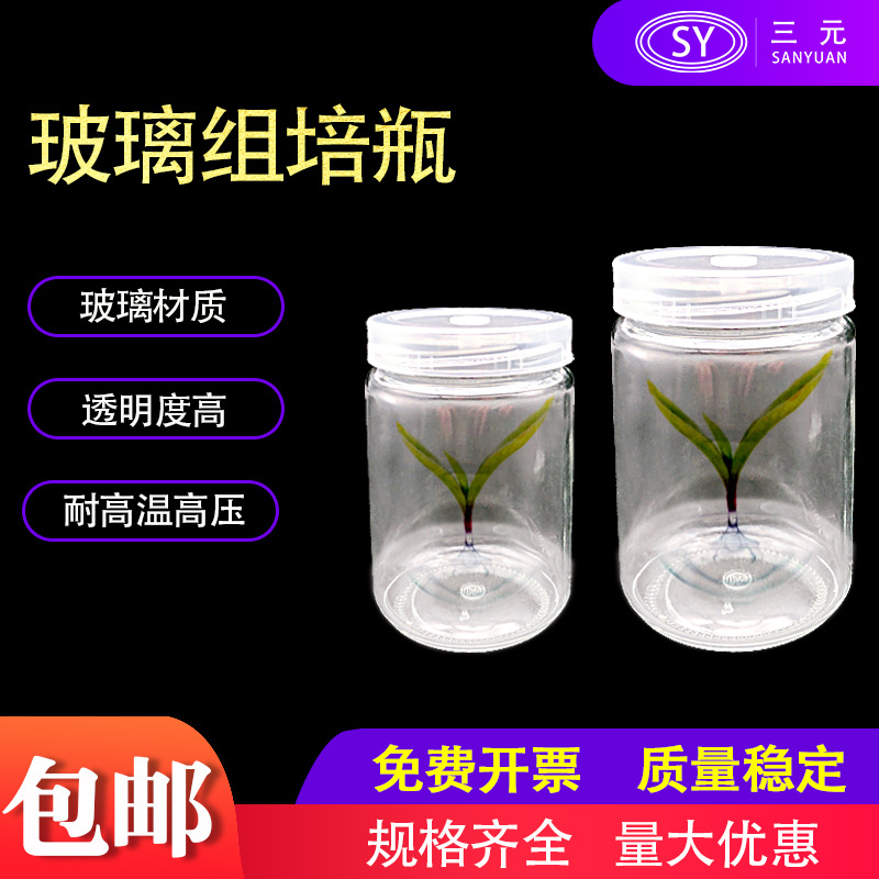 玻璃瓶350ml组培瓶240ml组培瓶菌瓶育苗瓶组织培养瓶透气虫瓶