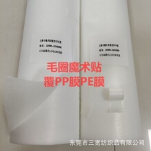 ëȦ��Ȧ�q���ë��PP͸��Ĥ��ůħ�g�N һ�����ϲ�ճ�۲����z