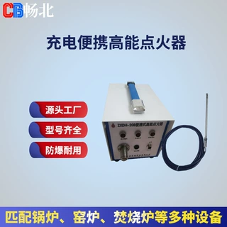 厂家直供高能点火器 工业锅炉点火装置 沼气放散火炬专用点火设备