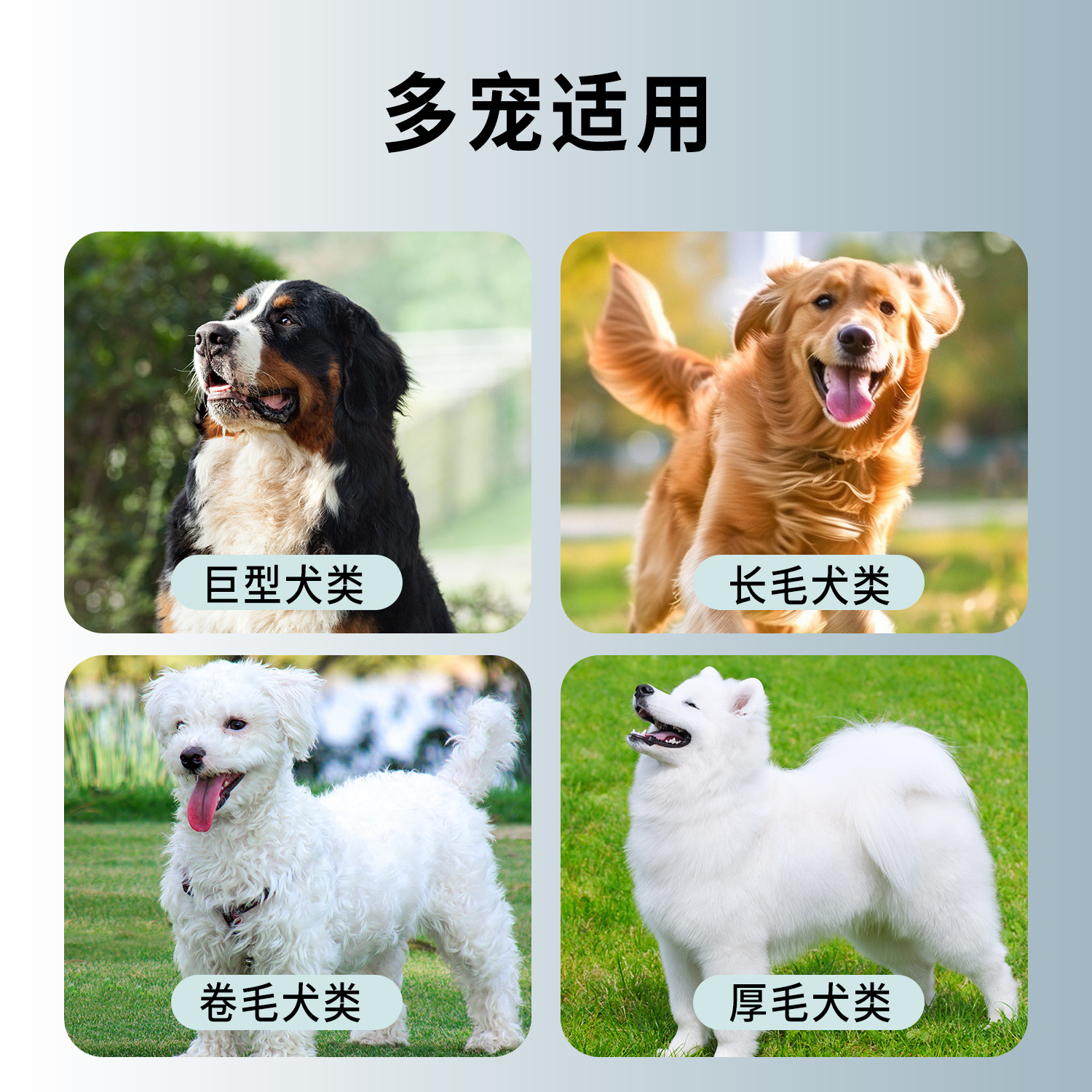 Peine de pelo de perro Peine de nudo abierto Peine de rastrillo de uñas de una fila