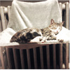 Steel frame pet nest net red cat nest hanging bed four seasons universal window sill leaning on a stool hanging nest in summer can be disassembled to the cat suspension