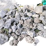 Коралловый морской мундштук