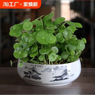 ˮ�B���X�B�׻��ļ�Сˮ�����ˮ���Gֲ��������ֲ���҃��~�X�ݺ�