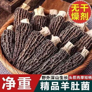 ����^���ؼ����x������Ǿ�����؛�����r��Ʒ��Ұ���Ҝ��ЋD��ͯ