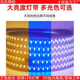 灯带led三色变光灯条家用220v变色客厅吊顶长条防水灯带条霓虹灯