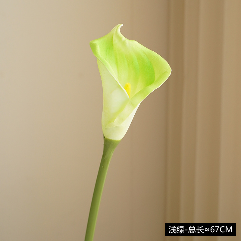 라이트 그린