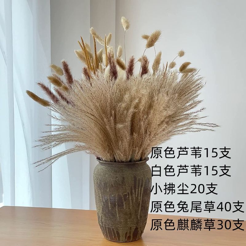 アマゾンはよく売れています。葦の花の花束です。|undefined