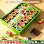 凤仙花植物盲盒种植小盆栽学生开学季小礼品桌面植物观察植物盆栽