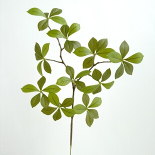 ����d���~�^�z�٘�֦�d�ӻ��쾰�b����ԾGֲ�Gɫ�~�ӈ@�֔[�O��