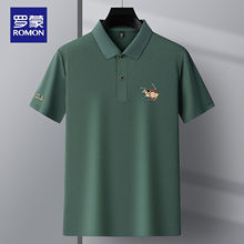 �_��2026�ļ��¿���ʿ����polo���r�����eɣ�Q�z�̽����I��ɫt��