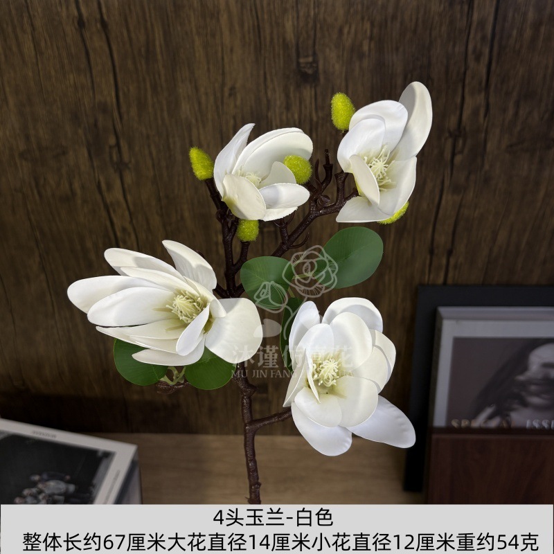 목련 4개