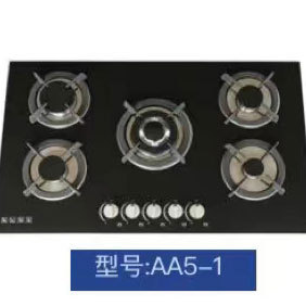 AA5-1