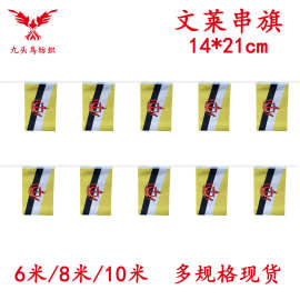 14*21cm文莱串旗矩形球迷旗帜厂家20*28cm吊旗涤纶拉旗现货