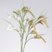 ����Gֲ��β�Ͳ� �JȔ����������ɻ��͏d�����b�ˇ�͹Ŕ[�O