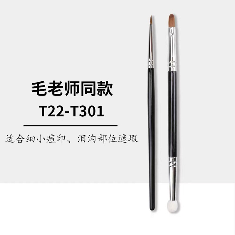 Teacher Mao with T22 eyeliner brush T301 double head concealer brush tear groove brush portable details brush dark circles