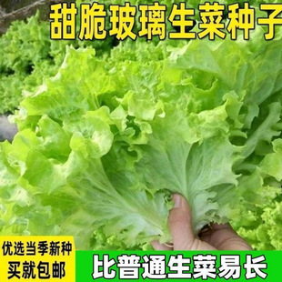 �������˷N���ļ������˷N���߲˲˷N���̨����ͥԺ�ײ��N�͸ߜ�