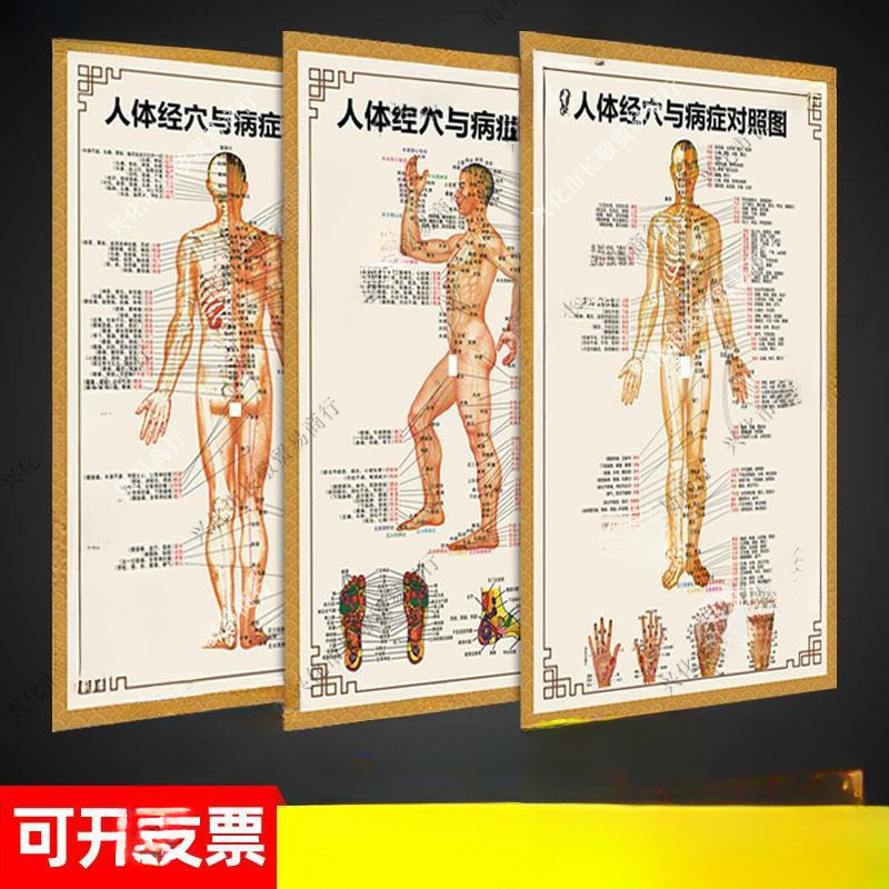 中医养生馆人体经络穴位图大挂图人体全身穴位经络病症对照高清ys