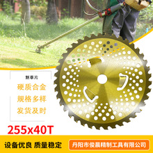 �S�����a10���ƺ��ݙC�Ƭ�Sɫ���Ƭ�ӹ�Ӳ�|�Ͻ��A�Ƭ���Ƭ