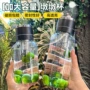 开盖玻璃茶水水杯