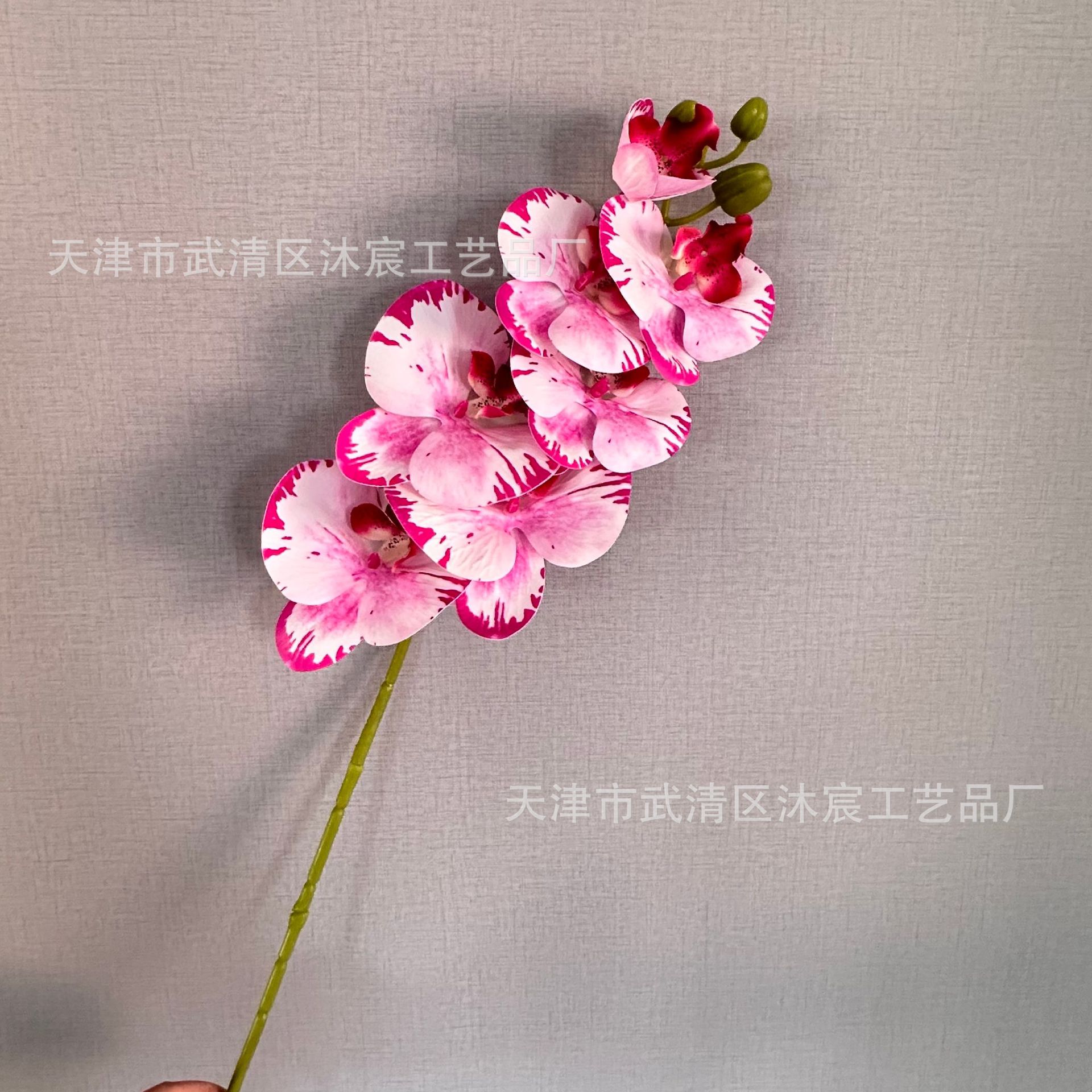 3D 7-cabeza Phalaenopsis mano-sensación de película Phalaenopsis venta al por mayor boda hogar decoración floral tiro flor material