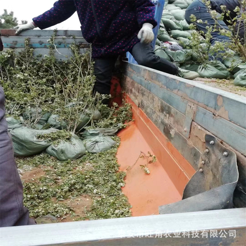 81baedcf3372c3dbb6a0a9496133df