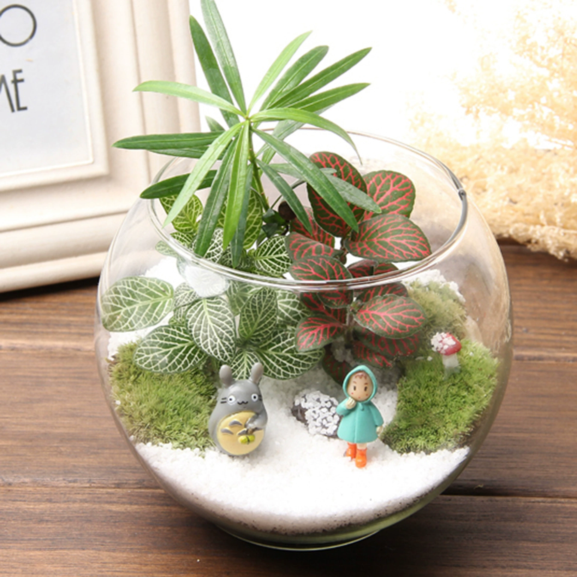 Мох Микро Пейзаж Творческий Подарок Украшения Бутылка Мха Пейзаж Бутылка Снег 15 Стеклянная Крышка Офисные Украшения