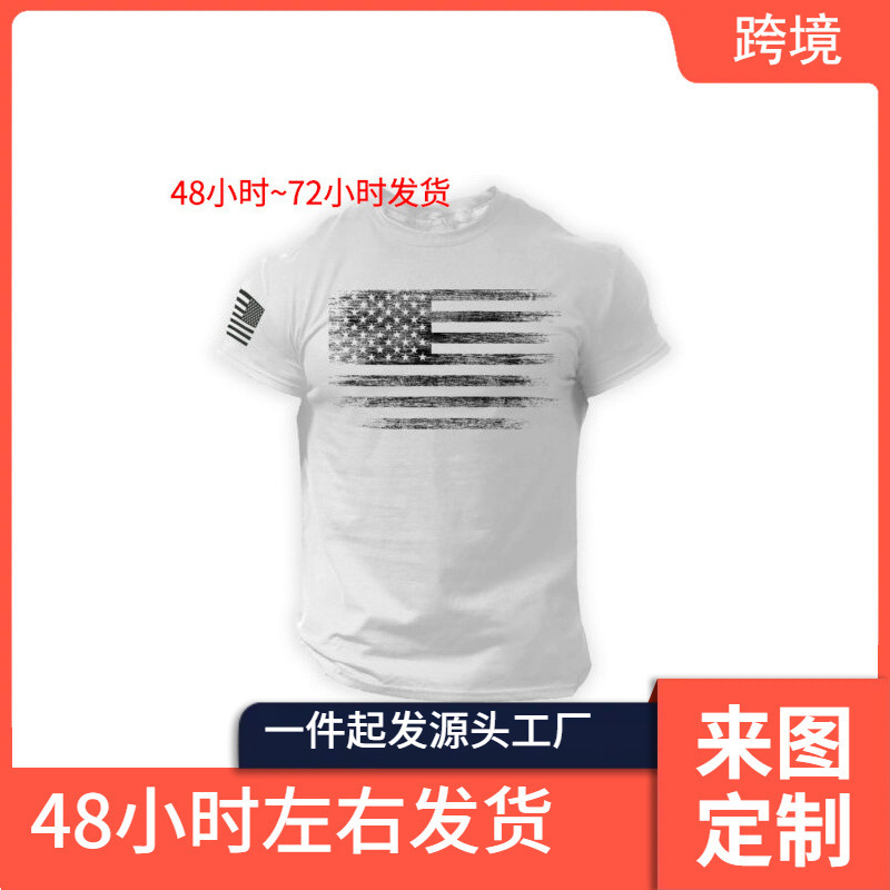 2024 New Export Model European and American July 4Th Holiday Pattern Printed Round Neck Top Short-Sleeved T-Shirt Drop Shipping