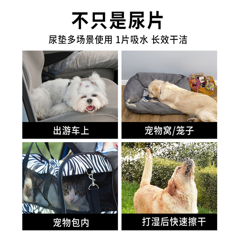 犬用おむつ 100 枚工場直販テディ増粘消臭吸収性おむつペットおむつ卸売|undefined