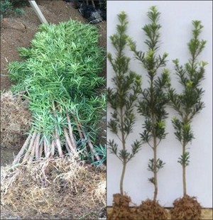 ���Ի������l�_�h�ɘ���С�~�_�h�ɘ������~�_�h�����Ե�����ؘ�