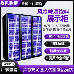 ネット赤展示棚酒水ビール棚冷蔵商用風冷大容量風冷無霜バー飲料冷凍庫