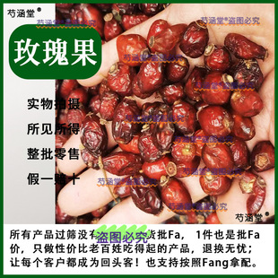 ��ș�� õ���500�� Ұ�Nޱ Ұ��õ�� ɽ��õ�� �Nޱ���� ��ș