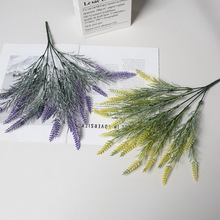 �羳���滨Ѭ�²ݼٻ����뻨���⹤��ֲ��b���@�L����ֲ��