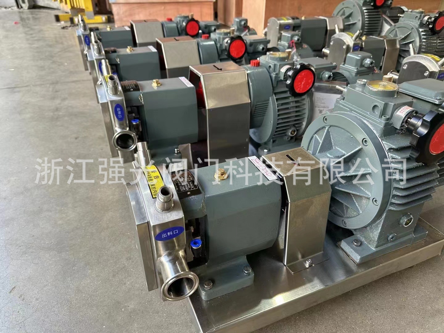 带保温夹套转子泵，输送巧克力，软胶囊，胶液 蜂皇浆 304不锈钢