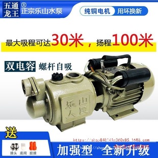 Deep Well Self-Priming Pump Household Fully Automatic High Lift Screw Self-Priming Pump Single-Phase Large Suction Water Pump 220V Leshan