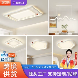 风扇灯;吸顶灯;成套灯具