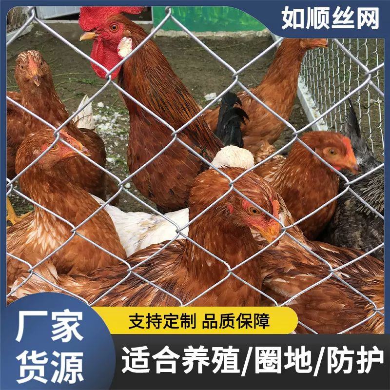 热镀锌养殖菱形勾花网圈地围栏隔离网不锈钢丝编织方格网喷播挂网