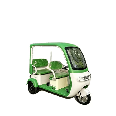 Quality Tuktuk, Sərnişin üçtəkərli motosikllar