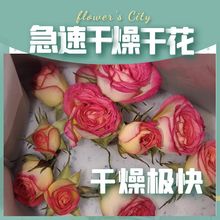 鲜花干燥剂植物标本玫瑰潮干花制作重复使用宿舍好花店固色