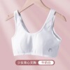 Underwear, spring bra top for elementary school students, for secondary school, pregnant