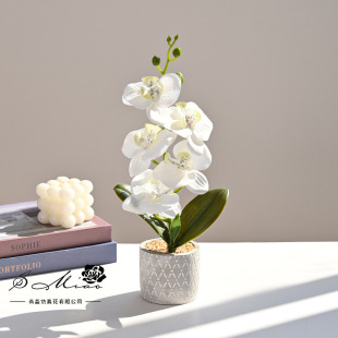 Five-Flowered Phalaenopsis Small Bonsai Creative Artificial Flower Home Photo Studio Decoration Ornaments Artificial Green Plant Artificial Potted Plant