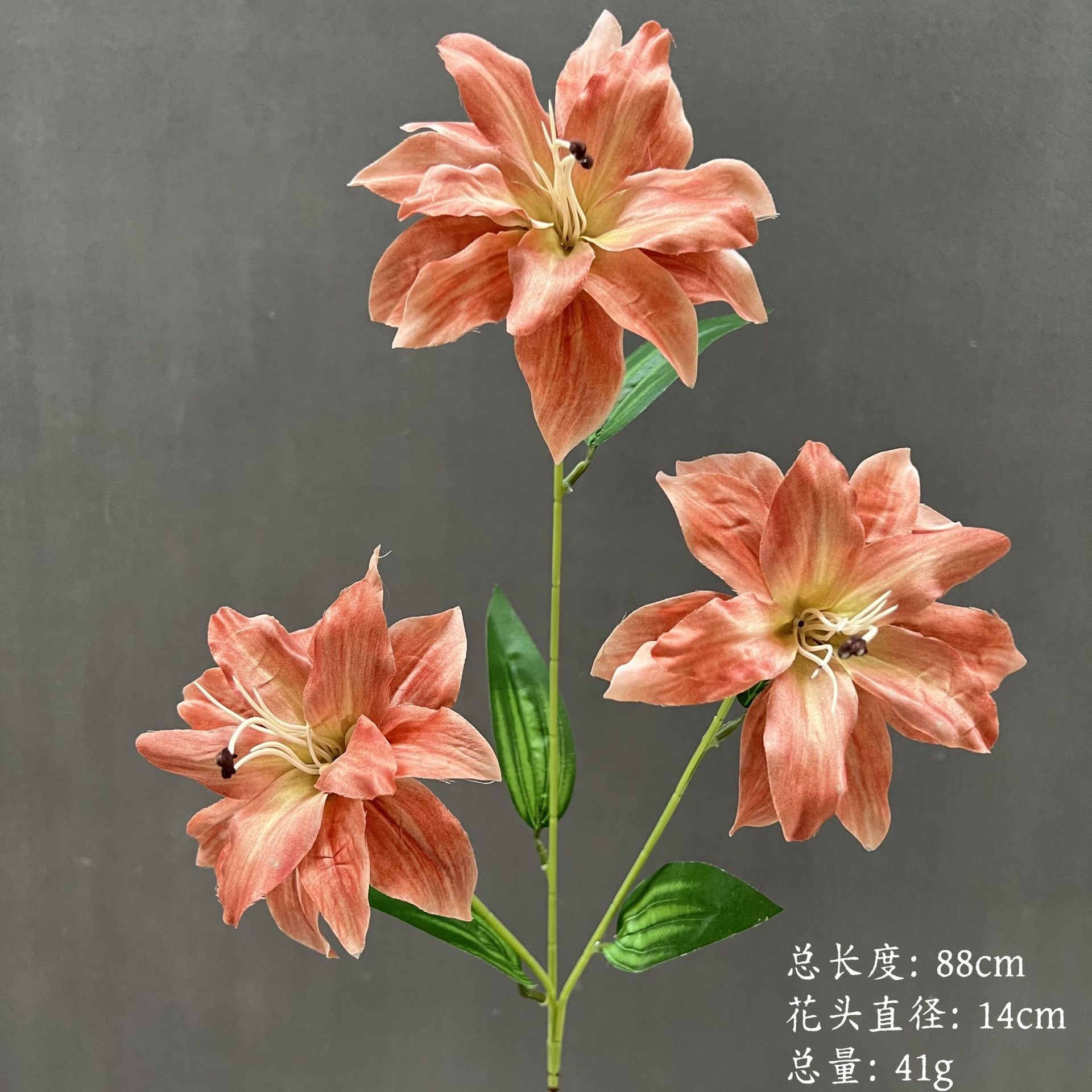 품목번호 233-불꽃백합