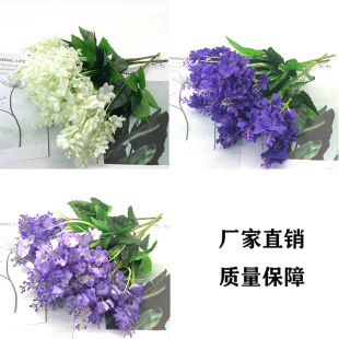 ���滨5���L���ӷ���޹�²ݷ��潁���ٻ�������Ƶ��b����l