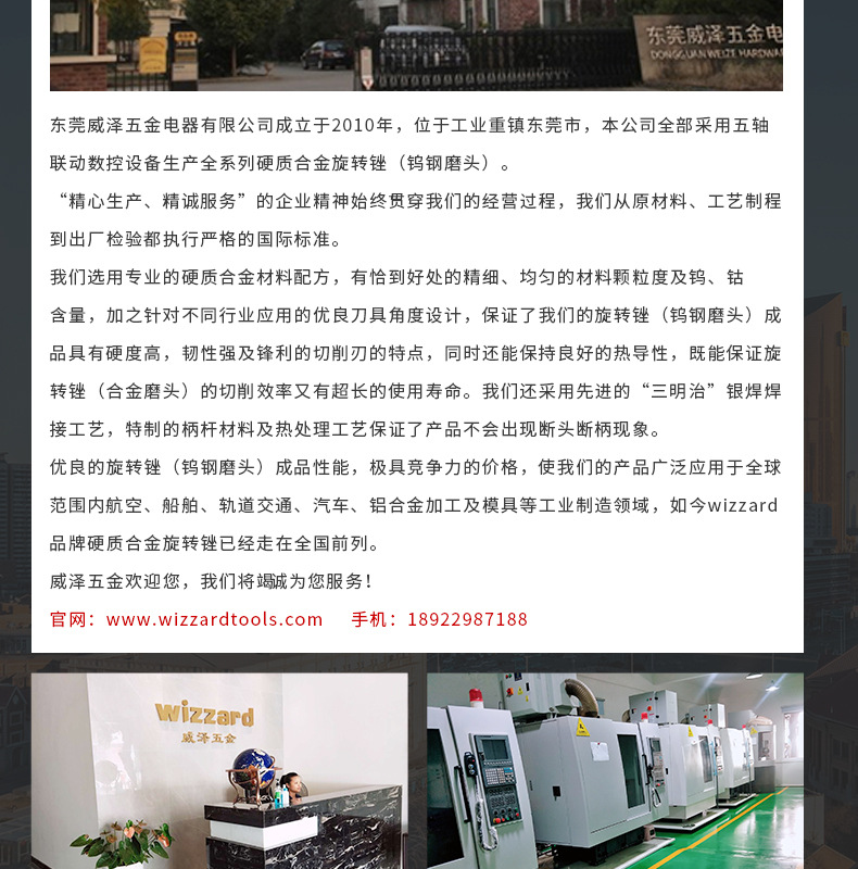 N1303X06双齿旋转锉