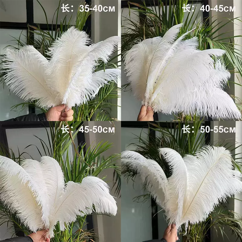 厂家直销35-55cm鸵鸟毛舞台演出白色羽毛婚庆DIY装饰鸵鸟羽毛批发