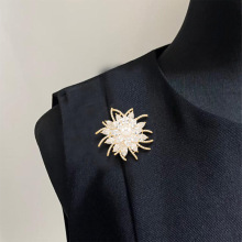 �n��r�Џ͹źϽ��ʯ�������С���p��Ůʿ�Y�����b�Ʒֲ��e�