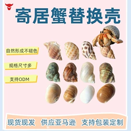 沙石砾石;海螺/贝壳;石膏工艺品