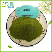 小麦苗粉 汁粉 水溶速溶 绿色粉末 固体饮料代餐  资质全  现货