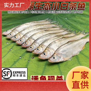 llС�חl�~���r���~�F���͗l�����~���N���~��ˮС���~�s�~�����